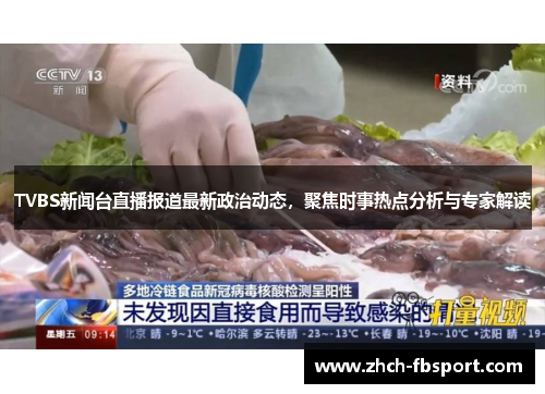 TVBS新闻台直播报道最新政治动态，聚焦时事热点分析与专家解读